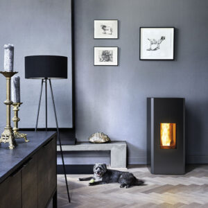 MCZ Mako Core Pellet Stove 2
