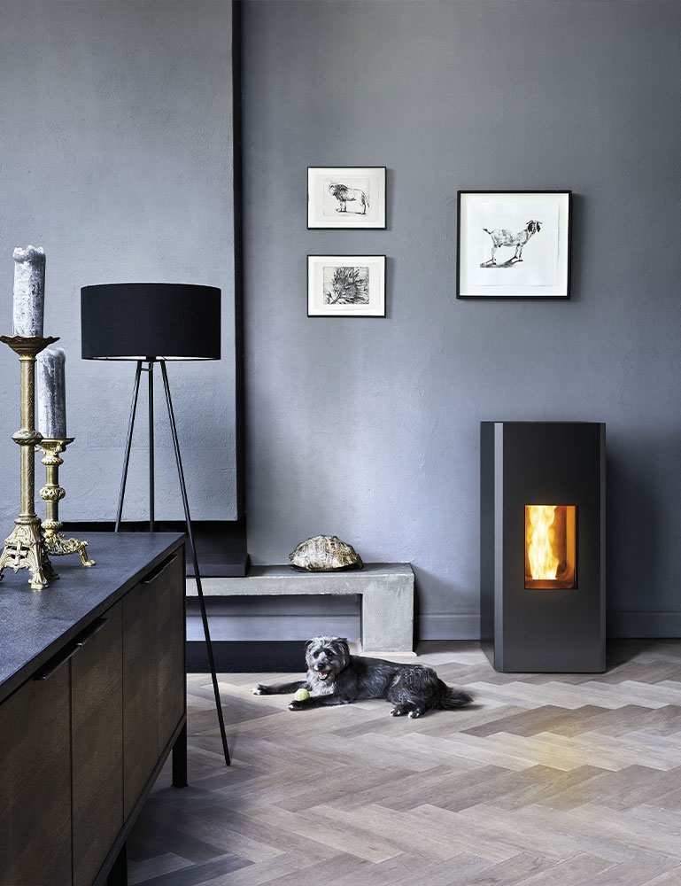 MCZ Mako Core Pellet Stove 2